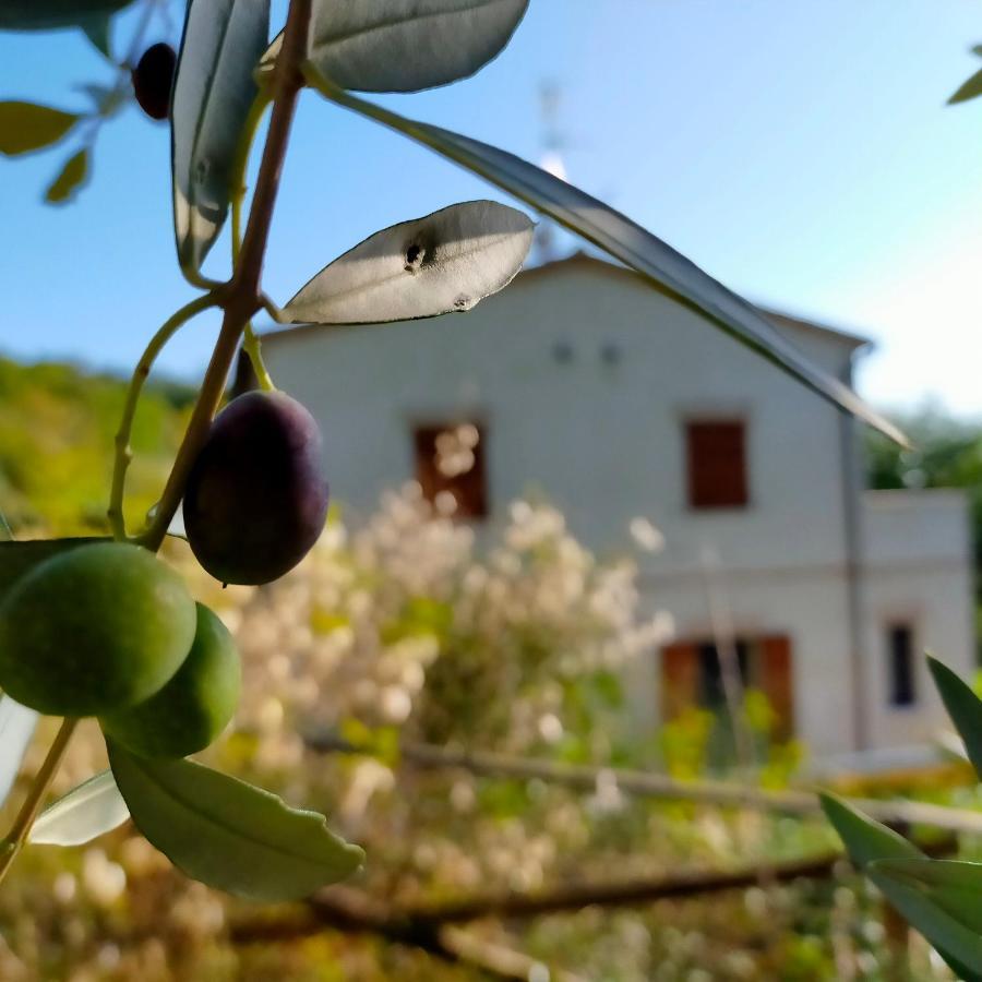 Ca'Rosei Leilighet Monteciccardo Eksteriør bilde